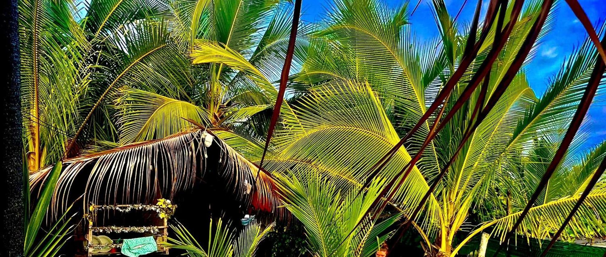 Beachfront Paradise Мануель-Антоніо Екстер'єр фото
