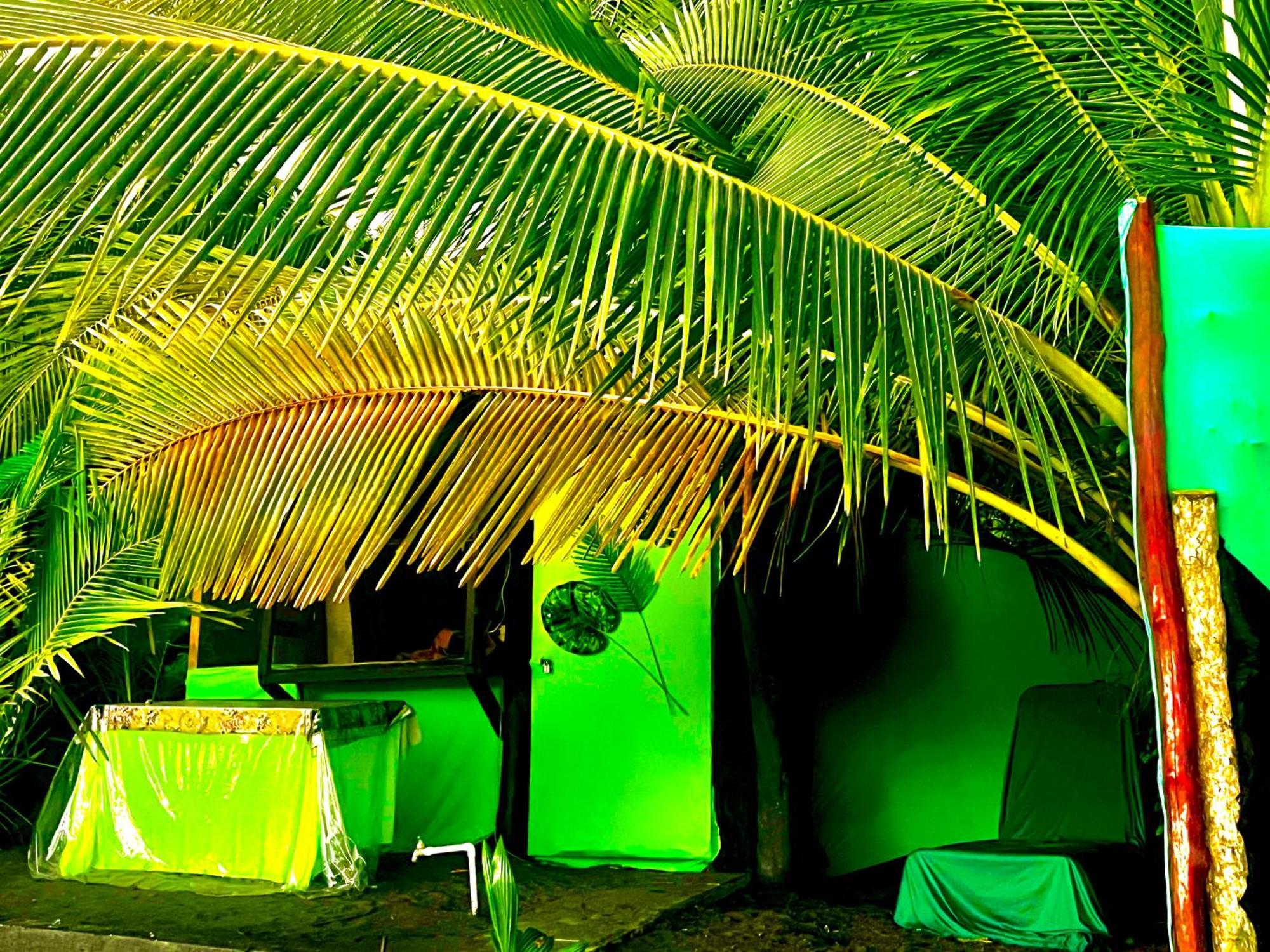 Beachfront Paradise Мануель-Антоніо Екстер'єр фото