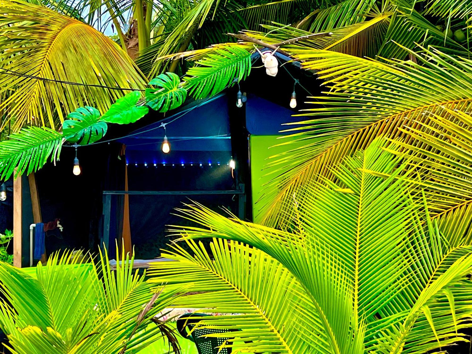 Beachfront Paradise Мануель-Антоніо Екстер'єр фото
